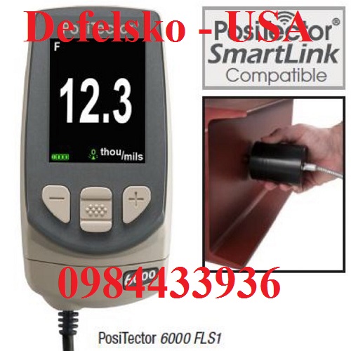 Máy đo độ dày lớp phủ PosiTector 6000 FLS1